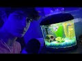 ASMR With My Fish 🐠 💤