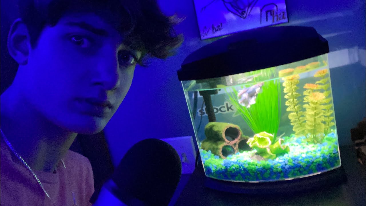 ASMR With My Fish 🐠 💤