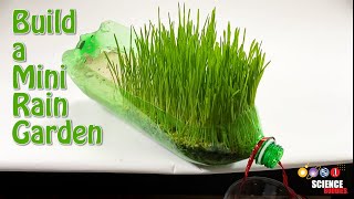 Rain Garden Science Experiment
