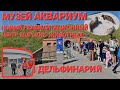 Литва НАЧАЛА ЭКОНОМИТЬ БЕСПЛАТНЫЙ день МОРСКОЙ музей аквариум Дельфинарий #klaipėda #delfinariumas