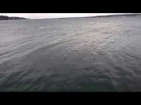 Video: St. Lawrence River Nyob Qhov Twg
