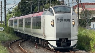 4001M  【トップナン編成】E259系横クラNe001編成  特急しおさい1号銚子行  松尾駅2番線ホーム通過