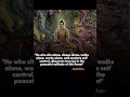 Struggle to become a good man by buddha #awareness #osho #consicousness #emptiness #nature #buddha