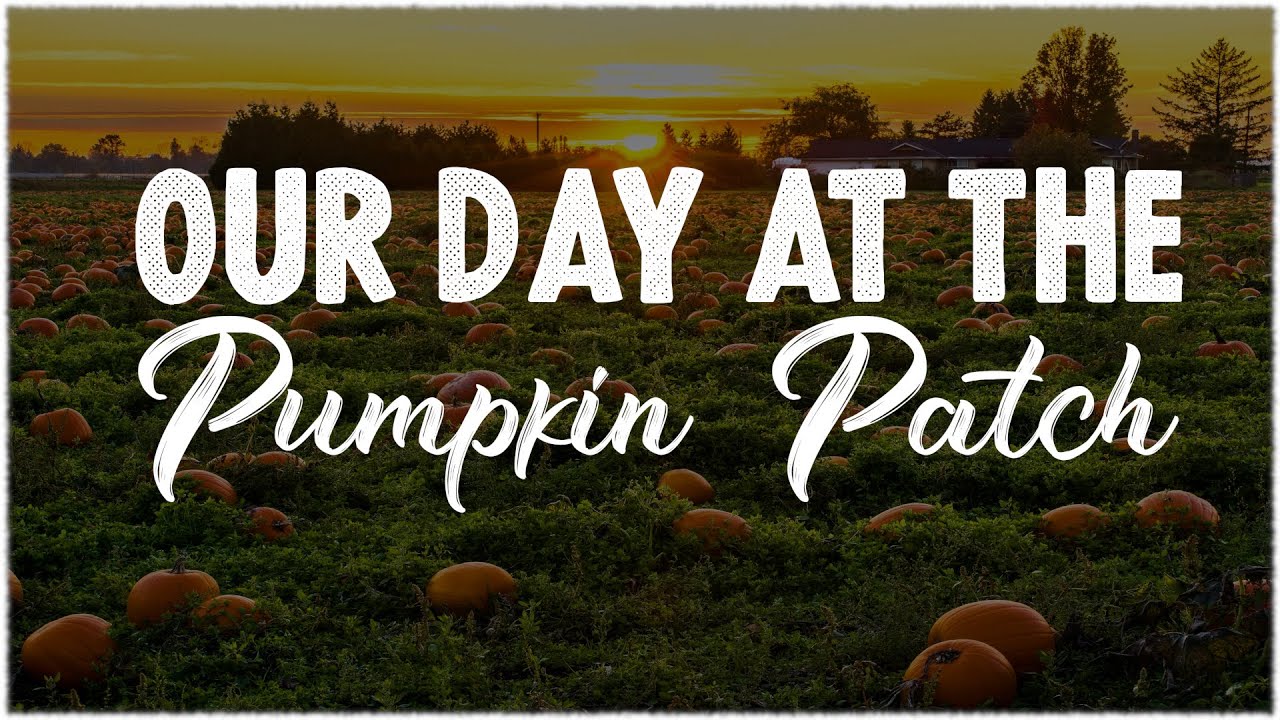 Our Day Fender's Farm Pumpkin Patch YouTube