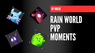 Rain World PVP Moments!