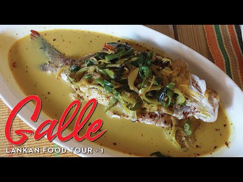 galle:-ultimate-food-tour-|-sri-lankan-yellow-fish-curry-&-rice-|-e-79