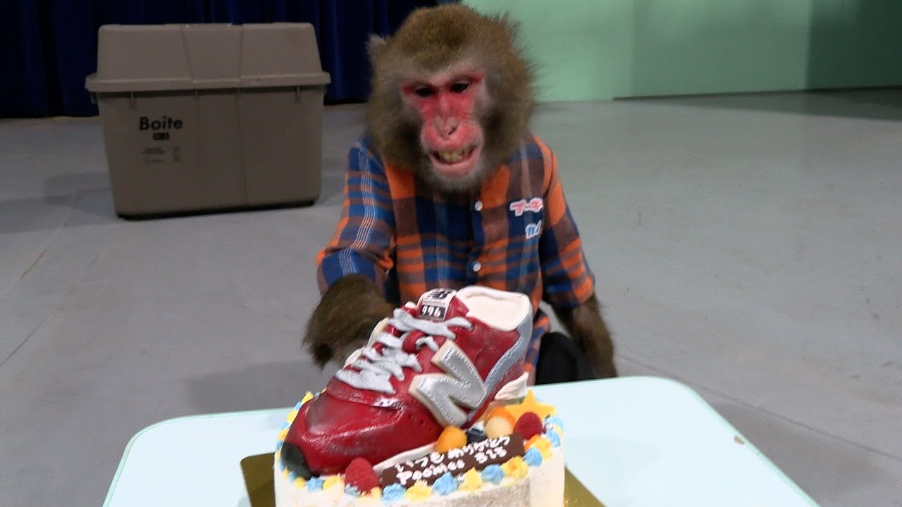 ケーキにお菓子の靴がのってる！食べたいけど気持ち悪いカイくんの葛藤が面白いww