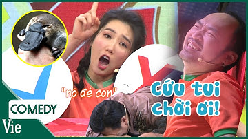 Tiến Luật lên cơn tiền đình xin rã đội vì trí tuệ Thúy Ngân bàn về THÚ MỎ VỊT | 7 Nụ Cười Xuân