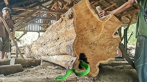 unexpected surprise while sawing giant teak logs full of beautiful grain at the sawmill