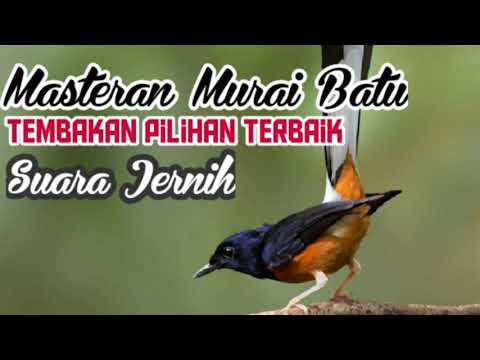 KOMBINASI MASTERAN PALING LENGKAP DAN PALING JERNIH AUDIONYA