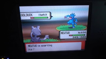 Live Shiny Psyduck + Shiny Patch