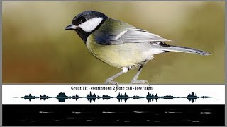 The Songs and Calls of the Great Tit