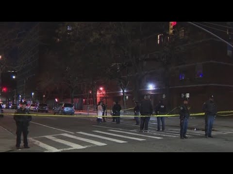 Teen, 18, ID'd as one of two people shot to death in Harlem: NYPD