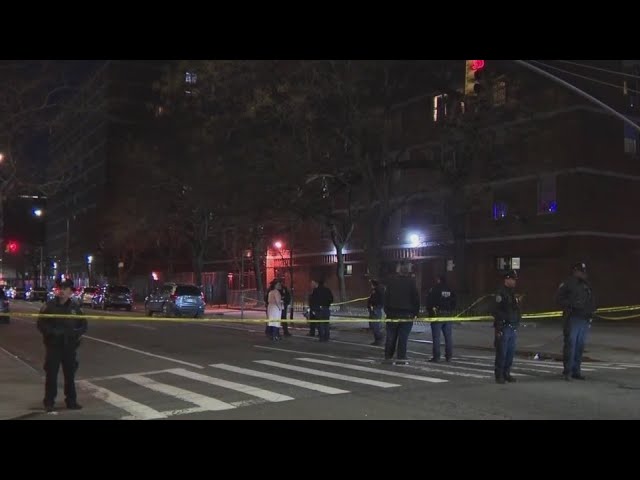 Teen 18 Id D As One Of Two People Shot To Death In Harlem Nypd