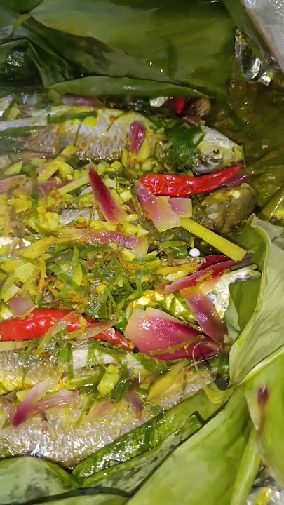 Ikan Belanak Lempis