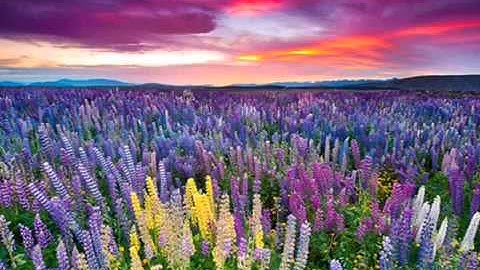 تلاوه رائعه للشيخ ناصر القطامي سورة عبس