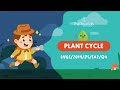 Plant Life Cycle Quiz