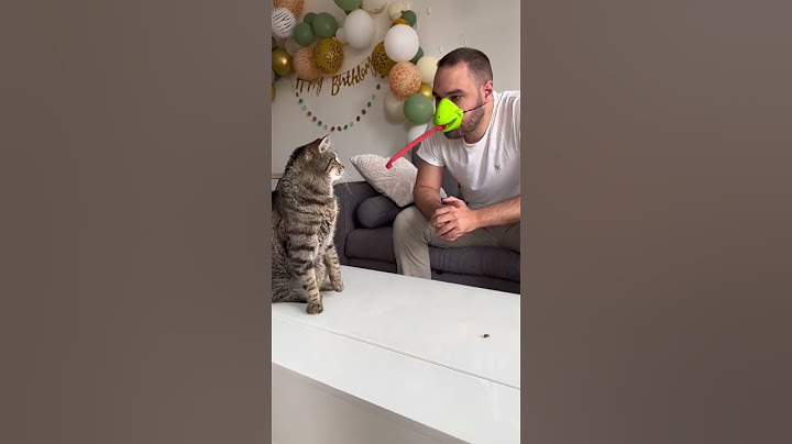 Quand on te met au defi de nourrir le chat sans les mains ! 😅