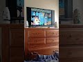 Three Boys About Squirrel Jokes From Spongebob Squarepants Three Boys About Squirrel Jokes From Spongebob Squarepants
