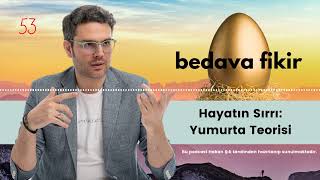 Hayatın Sırrı: Yumurta Teorisi Resimi