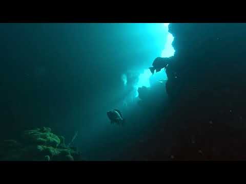 Roatan - True Beauty
