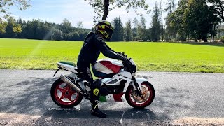 Aprilia Tuono 1000 R (2004) LeoVince titanium exhaust