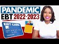 PANDEMIC EBT:&quot;CHECK YOUR CARDS&quot; FOR EXTRA MONEY + PROPOSAL TO BOOST FOOD STAMPS &amp; REPLACEMENT SNAP!