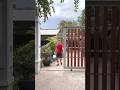 Câu chuyện đi bỏ rác #lanatrinh #funny #shortsvideo