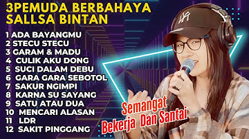 LAGU SKA REGGAE MENEMANI PERJALANAN DI TOL | SALLSA BINTAN FT 3PEMUDA BERBAHAYA | ADA BAYANGANMU