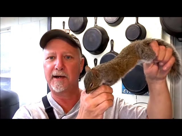 Watch BEST WAY TO CLEAN AND COOK SQUIRREL Cast Iron Cooking on YouTube.