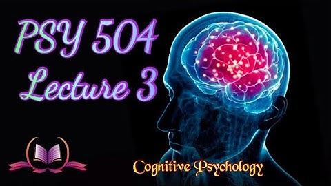 PSY 504 || Lecture 3 || Neuropsychology || Cognitive Psychology || Short Lectures || VU Lectures