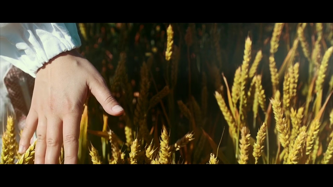 Лигалайз & Макsим - «Небо,засыпай» cover by Вероника Фомина - YouTube