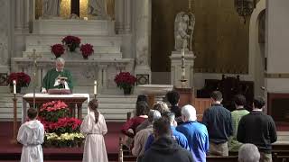 Second Sunday in Ordinary Time, January 18, 2026