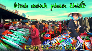  Khám Phá .Cảng Cá -Cồn Chà , Phan Thiết . Cảnh Nhộn Nhịp Khi Thuyền Về .