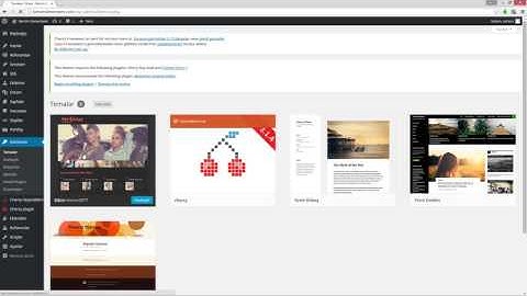 Yönetim Paneli Üzerinden WordPress Tema Kurulumu
