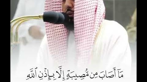 سورة التغابن | عبدالله الجهني ❤️ ( ومن يؤمن بالله يهد قلبه ) #عم #اجر_لي_ولك #لايك #اكسلبور #انشروا