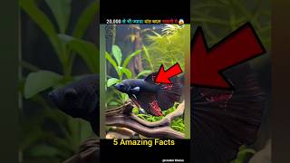 Top 5 satisfying animals facts hindi 🫣 #creator_khemu #facts #viralshort #shortfeed
