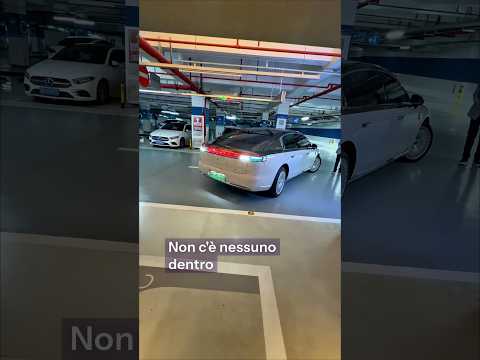 Video L'auto che si parcheggia da sola: il futuro della guida autonoma
