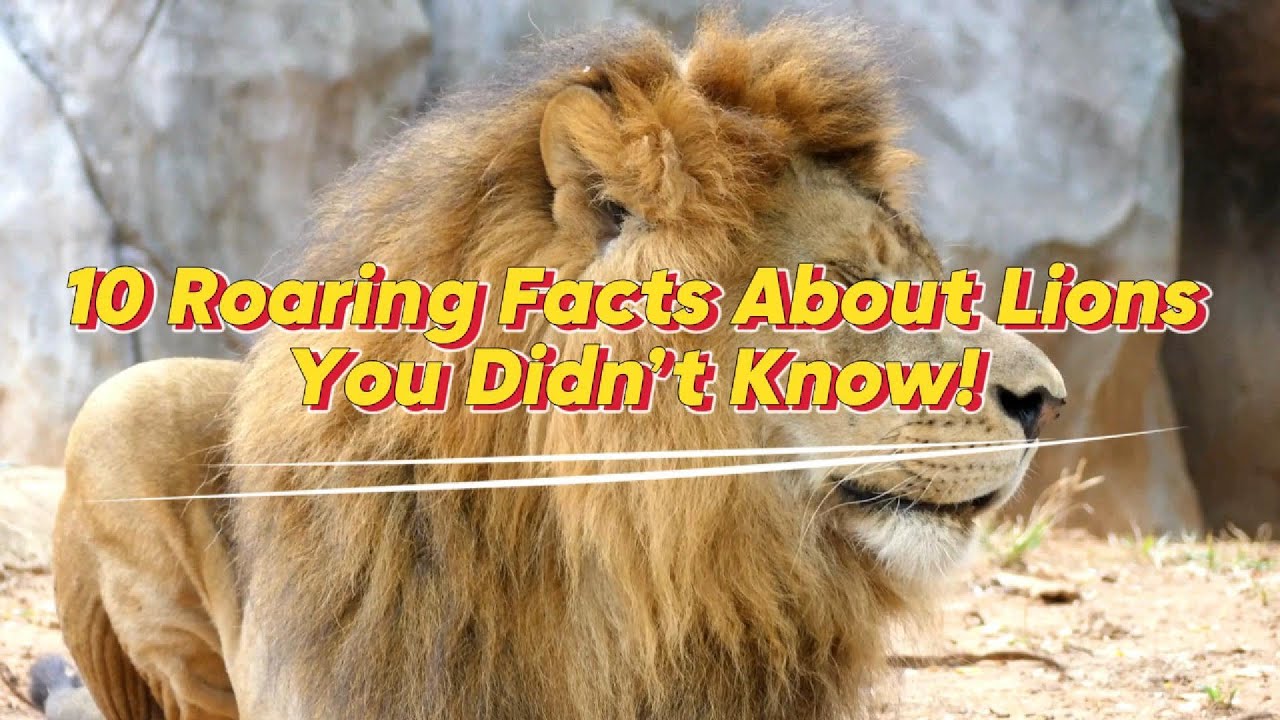 10 MindBlowing Facts You’ve Never Heard Before! YouTube 10 MindBlowing Facts You’ve Never Heard Before! YouTube