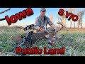 Iowa bow hunt  public land bow hunting  midwest whitetail hunting  deer hunting  rut hunt