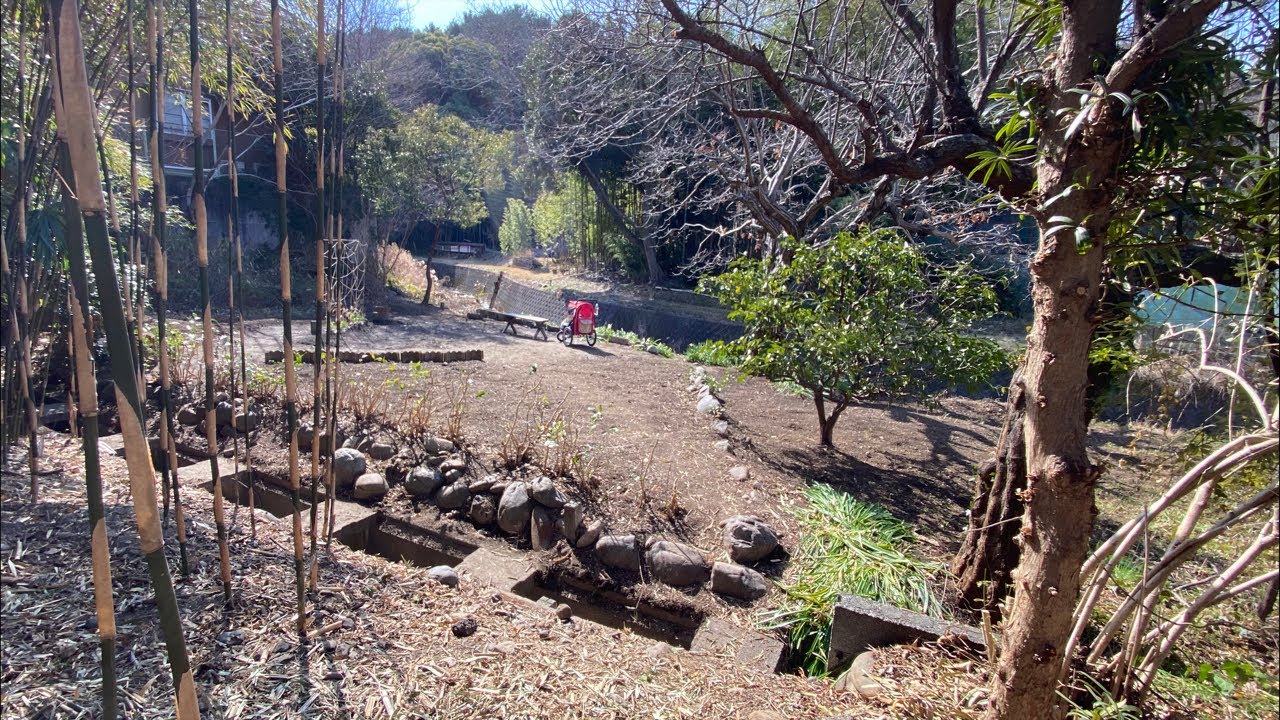 GARDEN CAM — 🔴 Clearing Bamboo & River’s Edge on a Chilly Friday (Live)