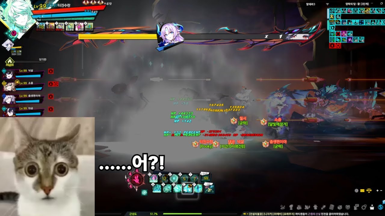 [Elsword KR / 엘소드 ] 전하 폭탄만 보면 달려가는 나방