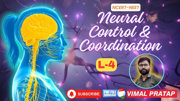 NEURAL CONTROL AND COORDINATION L-4 | NCERT Class 11/NEET Zoology | VIMAL PRATAP