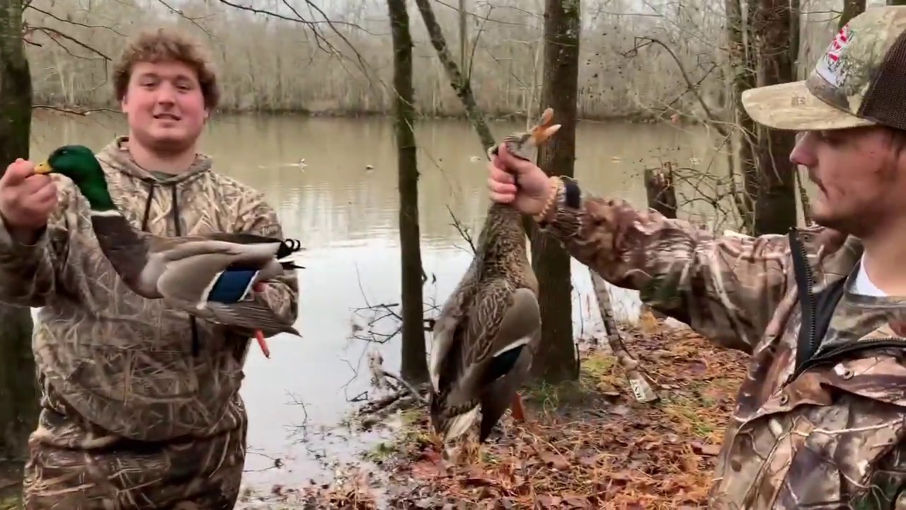 2019 Alabama Public Land Duck Hunt YouTube