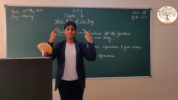 CLASS-4|| EVS ||CH-1| VITAL PARTS OF OUR BODY|| BRAIN ||GURUKULAM ONLINE CLASS