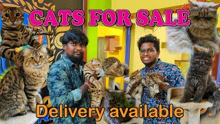 1 lakh worth exotic cats|Cat farm|cat varieties|cats for sale|Xploring