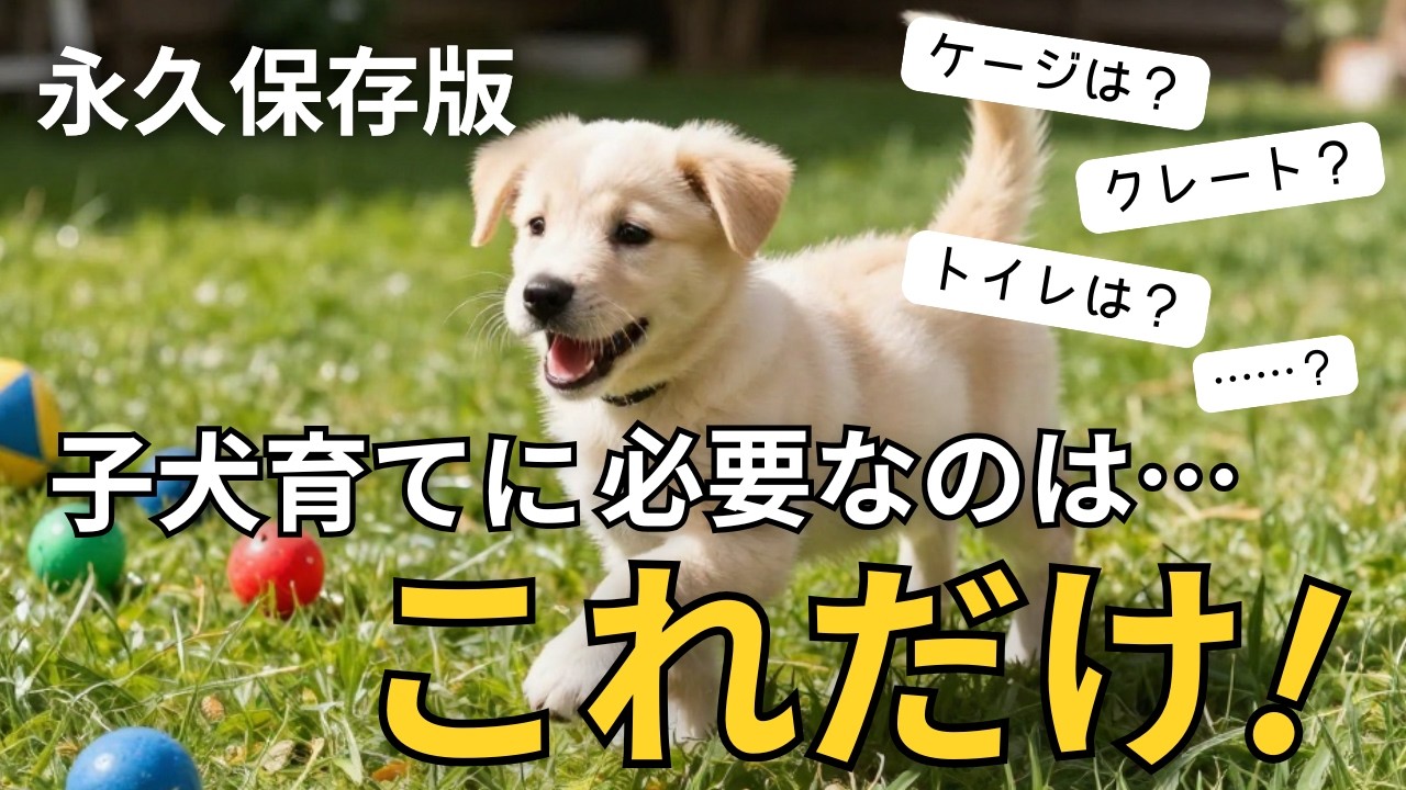 無駄なものは買わないで！犬を飼う時買っておくべきおくべきものリスト