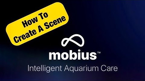 Ecotech Marine Mobius|How To Create A Scene