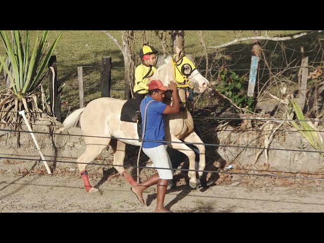 630+ Corrida De Obstáculos Corrida De Cavalos vídeos e Clipes de