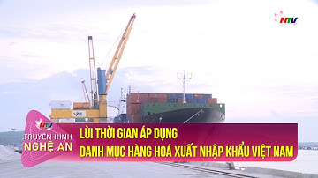 Lùi thời gian áp dụng danh mục hàng hoá xuất nhập khẩu Việt Nam